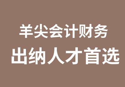 羊尖会计财务出纳人才选羊尖学信会计