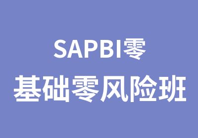 SAPBI零基础班