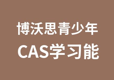 博沃思青少年CAS学习能力-大脑训练课程