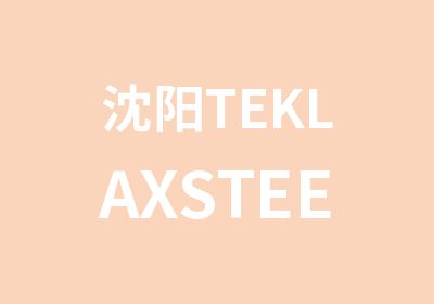 沈阳TEKLAXSTEEL拆图班培训