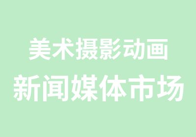 美术摄影动画新闻媒体市场传播及广告2