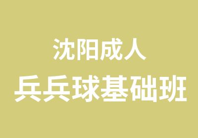 沈阳成人兵兵球基础班