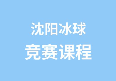 沈阳冰球课程