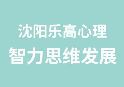 沈阳乐高心理智力思维发展课程