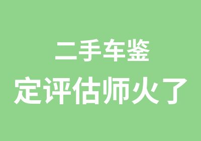 二手车鉴定评估师火了