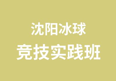 沈阳冰球竞技实践班