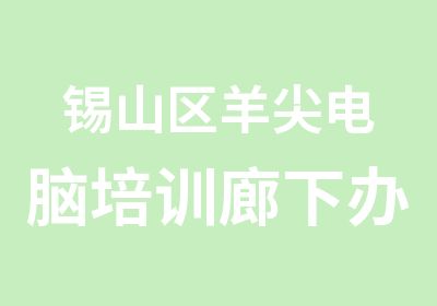 锡山区羊尖电脑培训廊下办公自动化培训