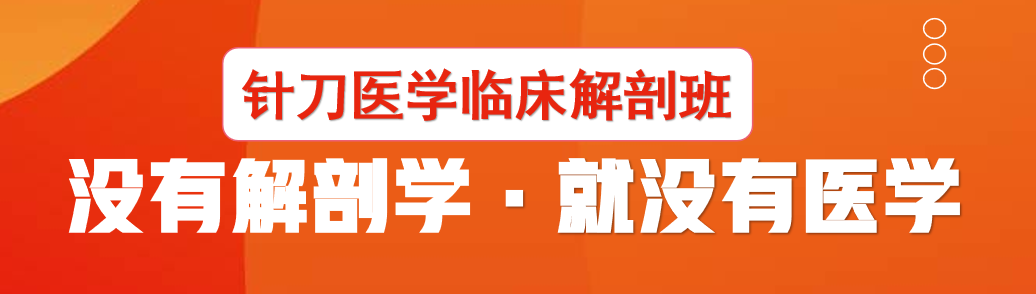 昆明·贵阳针刀临床解剖班