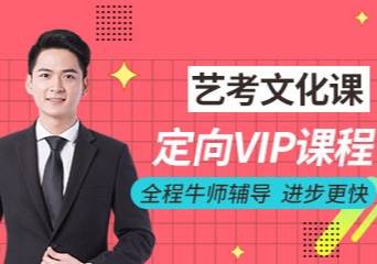 武汉乐学艺考文化课VIP提升课程