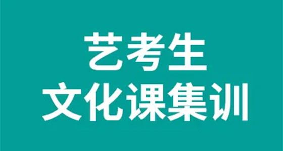 昆明新东方艺考文化课辅导