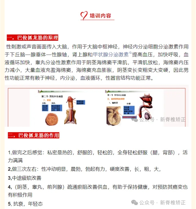 抓龙筋技术培训费用需要多少钱