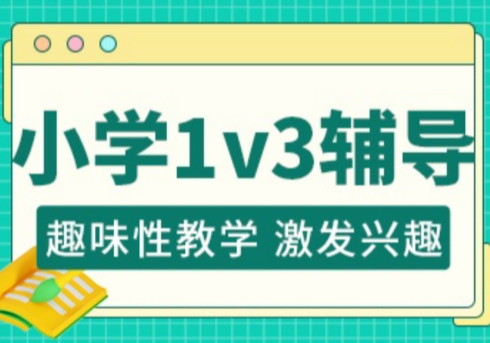 小学1V3辅导班