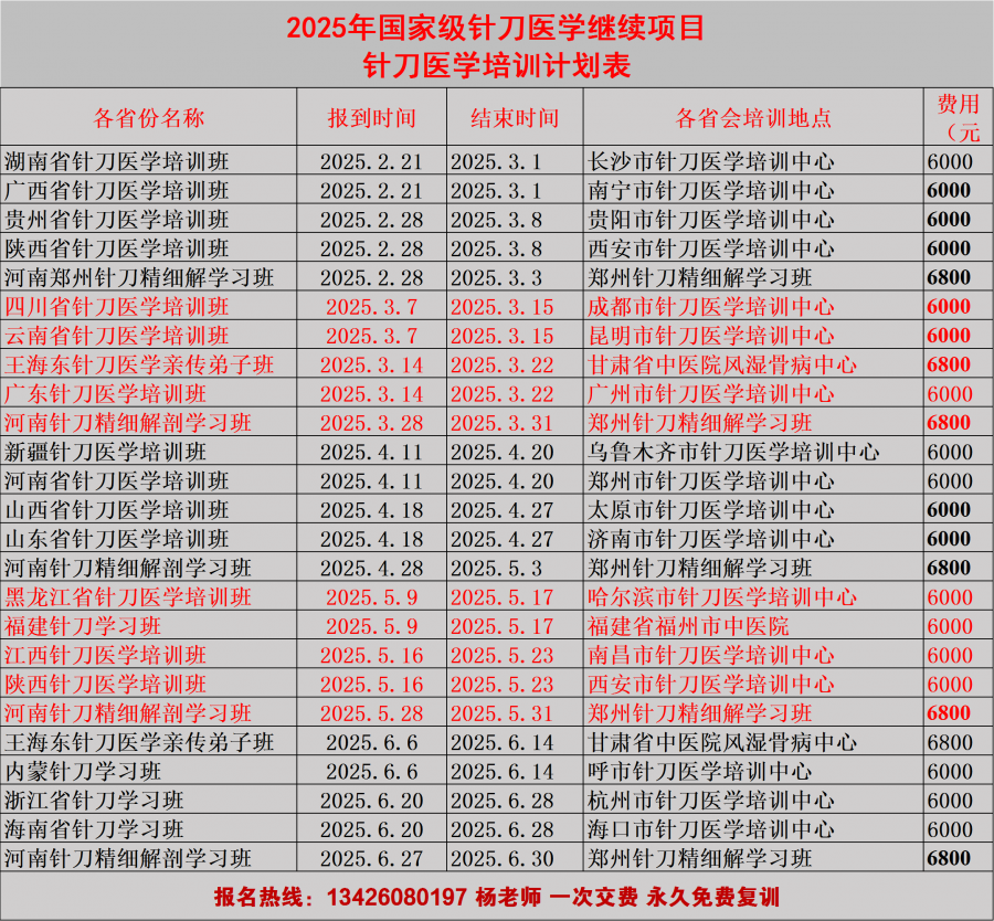 李树明神针门特制小员针神经疗法临床带教班