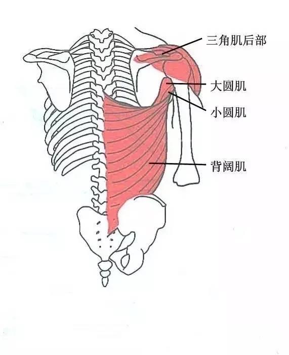 甘肃杭州贵阳等小针刀治疗软组织疼痛班