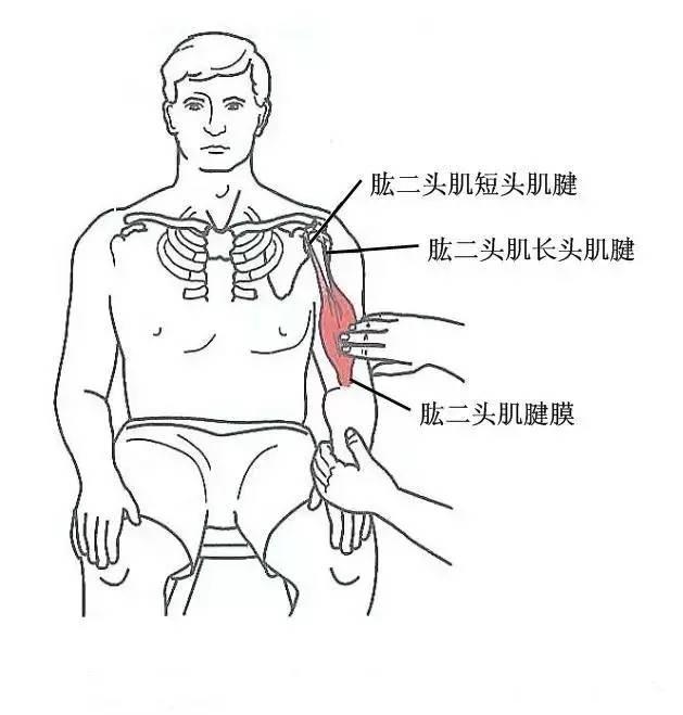 甘肃杭州贵阳等小针刀治疗软组织疼痛班