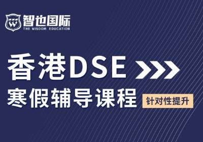 香港DSE辅导班