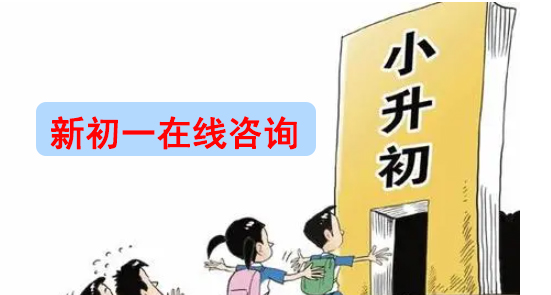 2025年小 升初，有哪些民办学校补录机会？