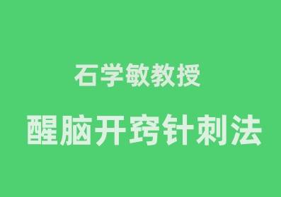 醒脑开窍针刺法学术传承班