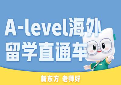 A-Level海外留學(xué)直通車(chē)