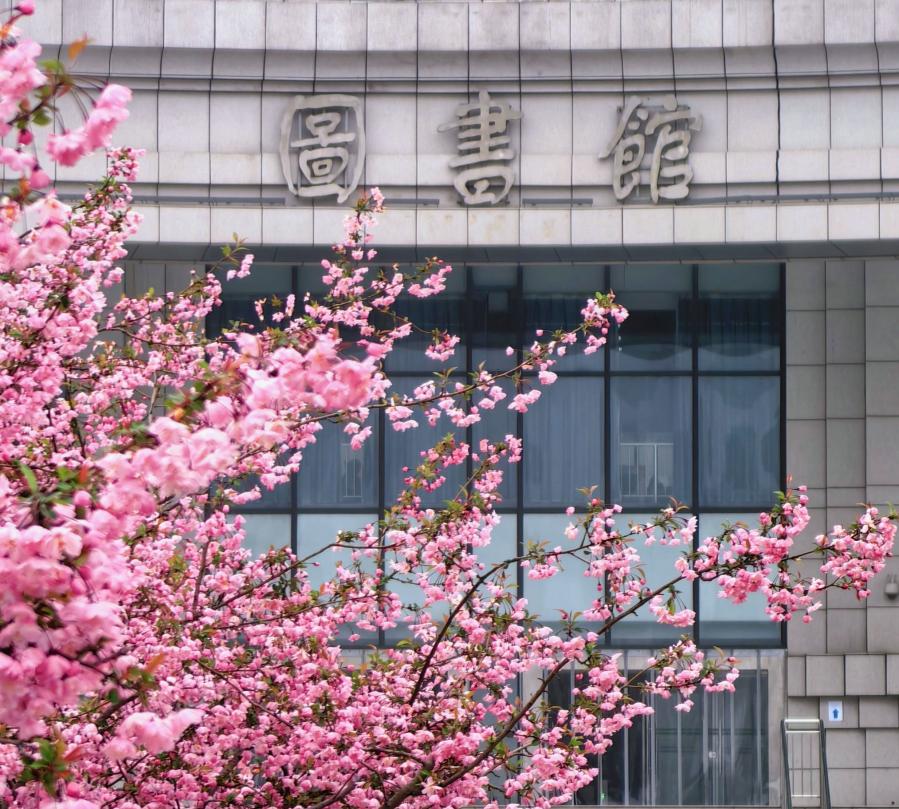 中考成績不理想且靠后