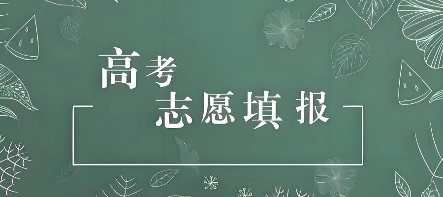 高考志愿填報服務(wù)