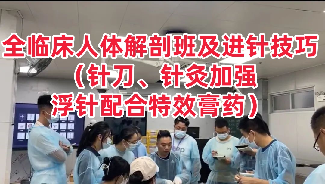 臨床解剖班及進(jìn)針技巧針刀針灸浮針膏藥