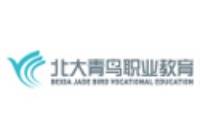 北京北大青鳥職業(yè)教育