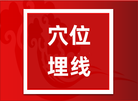 2025年中醫(yī)面針無痛美容駐顏培訓(xùn)班