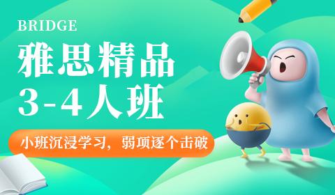 雅思精品3-4人班