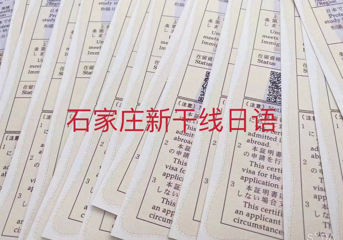 考研日語(yǔ)203課程