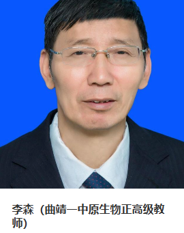曲靖教育咨询：打造孩子成长的桥梁