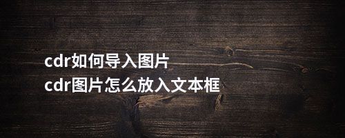 cdr如何导入图片cdr图片怎么放入文本框