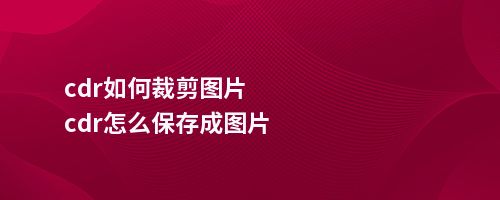 cdr如何裁剪图片cdr怎么保存成图片