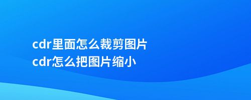 cdr里面怎么裁剪图片cdr怎么把图片缩小