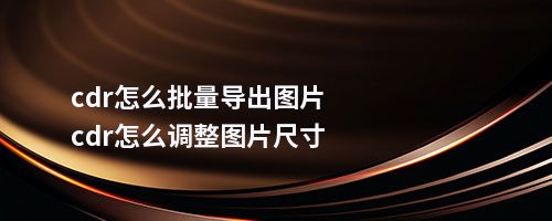 cdr怎么批量导出图片cdr怎么调整图片尺寸