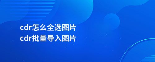 cdr怎么全选图片cdr批量导入图片