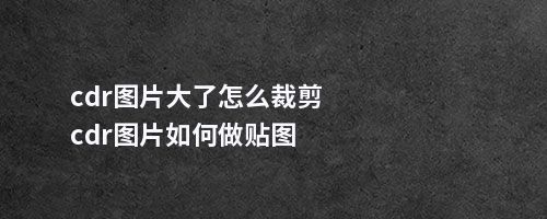 cdr图片大了怎么裁剪cdr图片如何做贴图