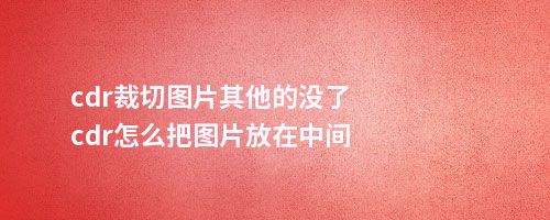 cdr裁切图片其他的没了cdr怎么把图片放在中间