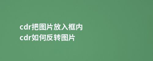 cdr把图片放入框内cdr如何反转图片