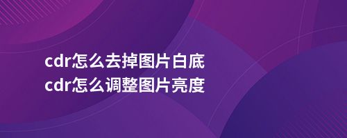 cdr怎么去掉图片白底cdr怎么调整图片亮度