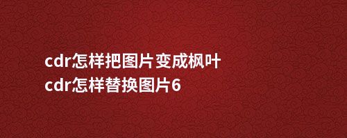 cdr怎样把图片变成枫叶cdr怎样替换图片6