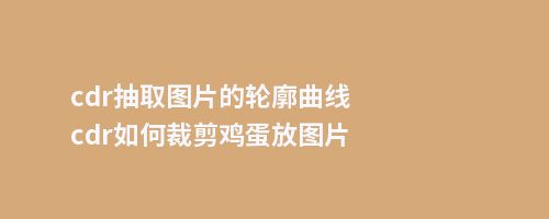 cdr抽取图片的轮廓曲线cdr如何裁剪鸡蛋放图片