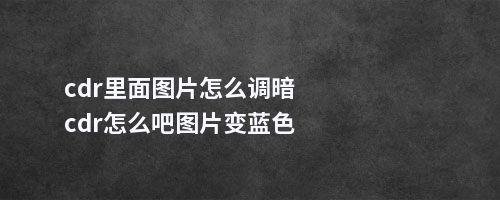 cdr里面图片怎么调暗cdr怎么吧图片变蓝色