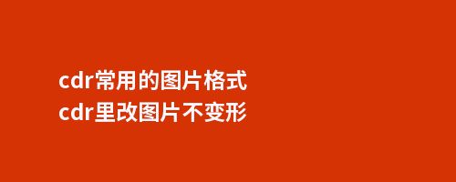 cdr常用的图片格式cdr里改图片不变形