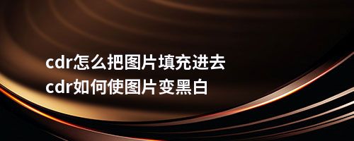 cdr怎么把图片填充进去cdr如何使图片变黑白