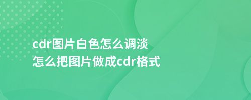 cdr图片白色怎么调淡怎么把图片做成cdr格式