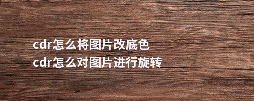 cdr怎么将图片改底色cdr怎么对图片进行旋转