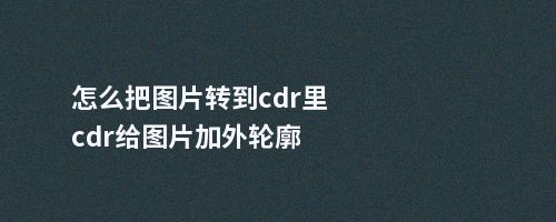 怎么把图片转到cdr里cdr给图片加外轮廓