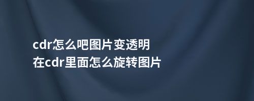 cdr怎么吧图片变透明在cdr里面怎么旋转图片