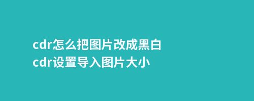 cdr怎么把图片改成黑白cdr设置导入图片大小